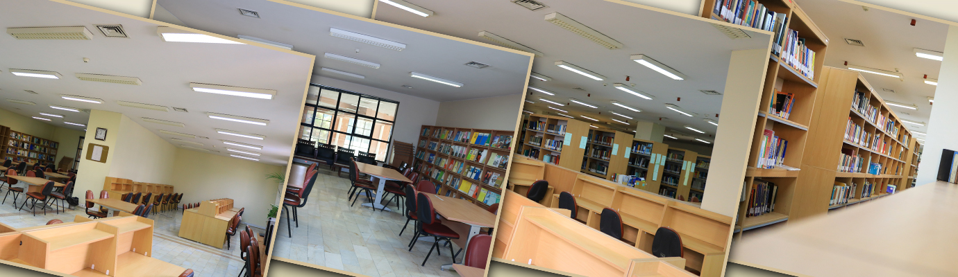 First Responsive Image