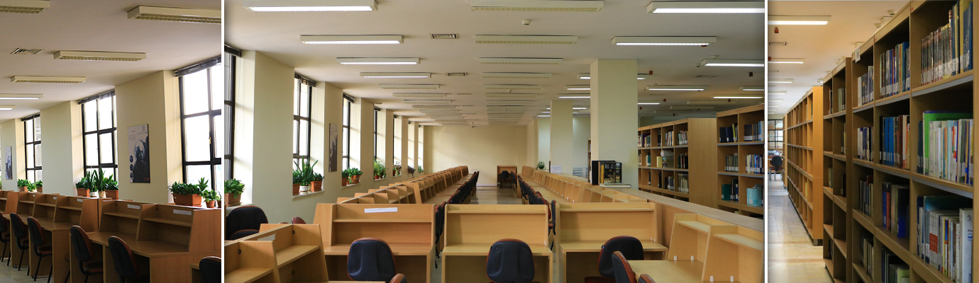 Second Responsive Image