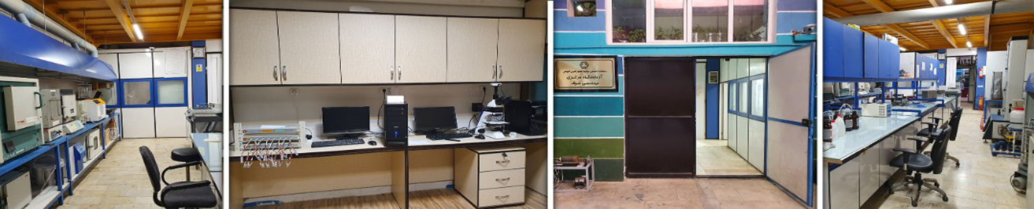 First Responsive Image